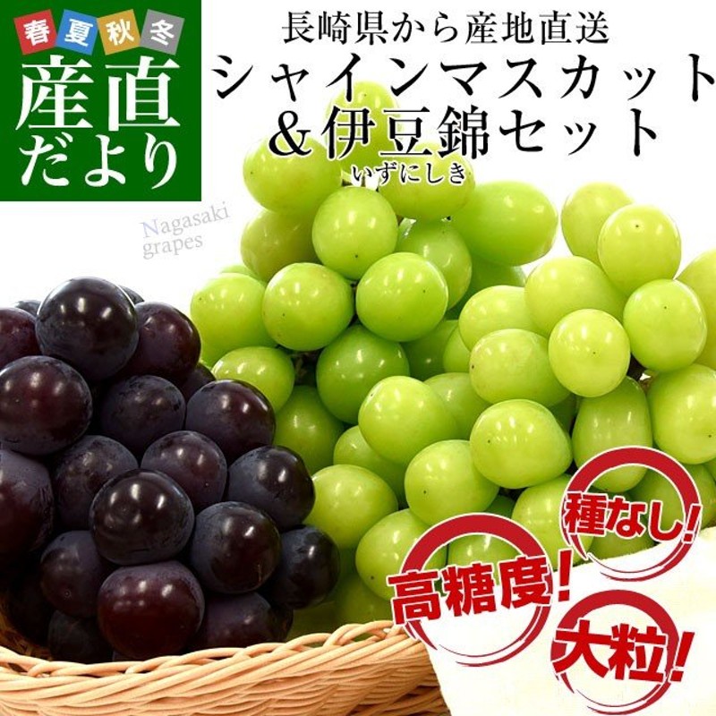 ふるさと納税 須坂市 ナガノパープル 2kg以上(4〜6房)《信州うちやま