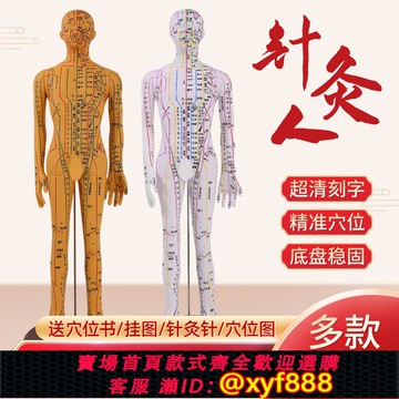 {可打統編 保固一年}超清人體針灸穴位模型經絡 銅人刻字中醫學教學人體模型男女小人