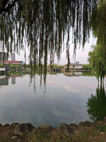 小巢陳麗真台中火車站大三房✨｜台中市東區復興路四段