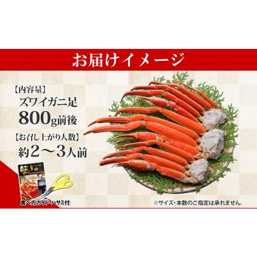 ふるさと納税 北海道 弟子屈町 1522.  ボイルズワイガニ足 800g 約2-3人前 食べ方ガイド・専用ハサミ付 カニ かに 蟹 送料無料 期間限定 数量限定 北海道 弟子…