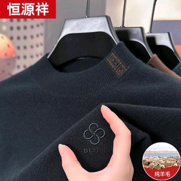 恒源祥男裝2024冬季100純羊毛衫男半高領加厚保暖上衣針織打底衫