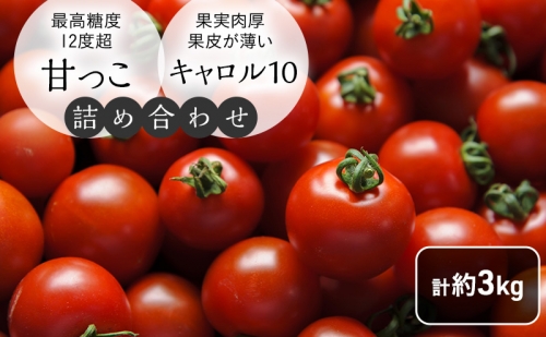 北海道 富良野市産 完熟ミニトマト 2種 計約3kg 甘っこ キャロル10 各1.5kg×2 詰め合わせ トマト 甘い 野菜 新鮮 数量限定 先着順