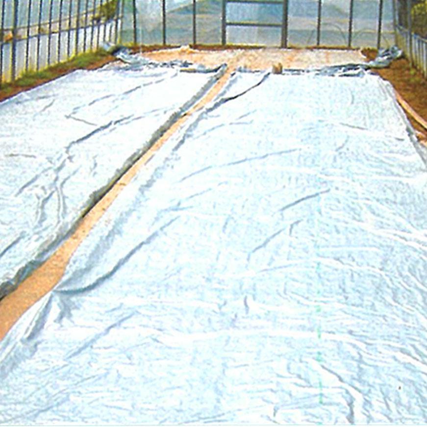 シルバーポリトウ 水稲 用 0.05mm x 230cm 50m 育苗 に トーカン タ種