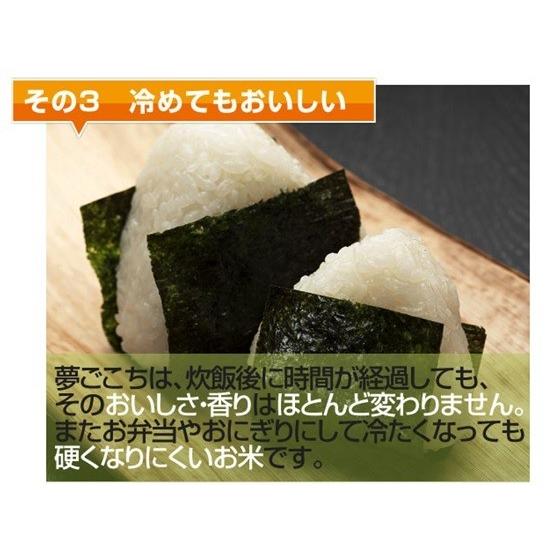 令和４年産　特別栽培米　岐阜県産 夢ごこち 白米１０Kg（分搗き可）北海道・沖縄・離島は追加送料