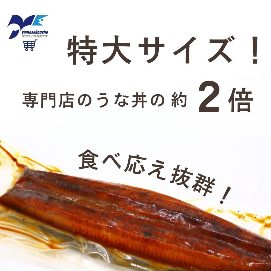 うなぎ 丑の日 鰻 ウナギ お取り寄せ 美味しい お歳暮 お中元 蒲焼き 国産 敬老の日 父の日 特大 母の日 冷凍