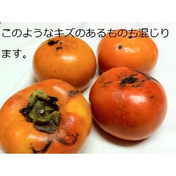 富有柿6kg(わけあり 訳あり ワケあり)和歌山産 富有柿(ふゆ柿)6kg