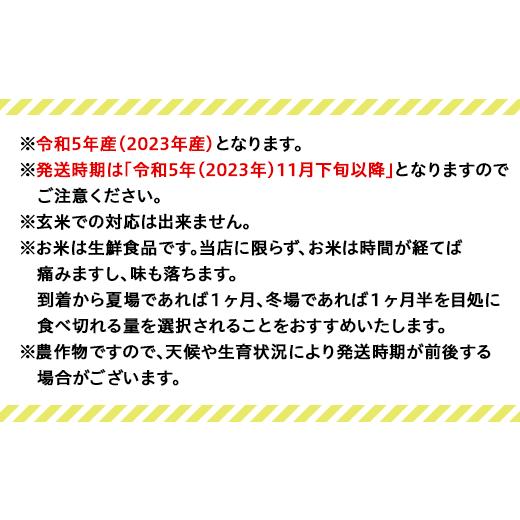 ふるさと納税 新潟県 胎内市 M05Z新潟県産コシヒカリ5kg