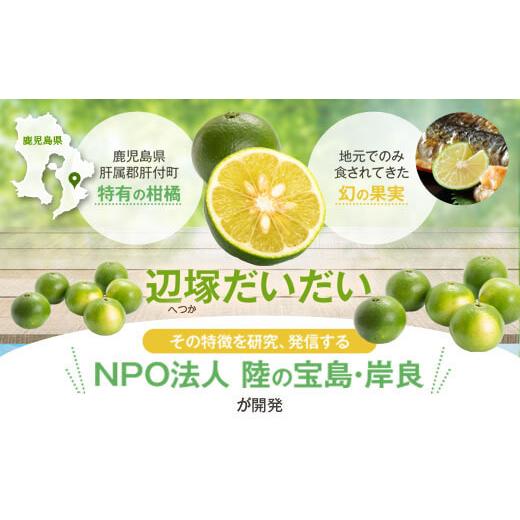 ふるさと納税 鹿児島県 肝付町 A20006 ＜世界でここだけ果実＞調味料で手軽に味わうよくばり入門セット！GI(地理的表示)登録産品！