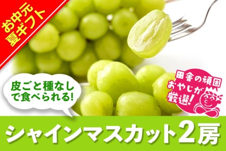 ＜お中元熨斗付＞田舎の頑固おやじが厳選！シャインマスカット2房
