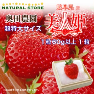 [予約 2024年1月5日-1月30日の納品] 美人姫 桐化粧箱 一粒60g以上 1粒 超特大サイズ 高糖度 DX 岐阜県産 苺 いちご イチゴ ギフト