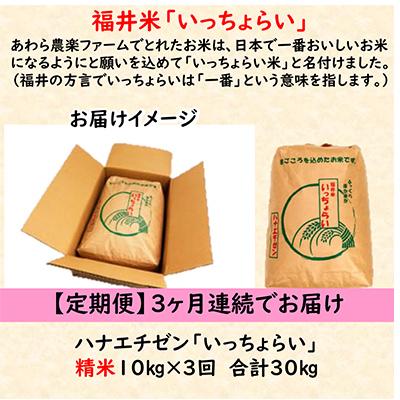 ふるさと納税 あわら市 ハナエチゼン 精米 10kg全3回