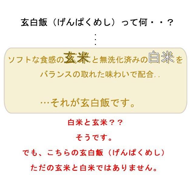 新米 令和5年産 無洗米 5kg×2 玄米 玄白飯 ひとめぼれ 10kg 送料無料 (玄米と白米を1:1でブレンド)（SL）