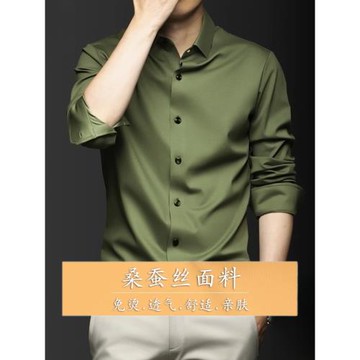 桑蠶絲高端真絲襯衫長袖男士2024年新款春秋款商務休閑高級感襯衣