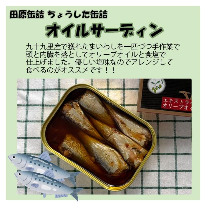 ちょうした缶詰 田原缶詰 オイル・水煮セット ４缶 新発売    のし・ギフト・サンプル各種対応不可