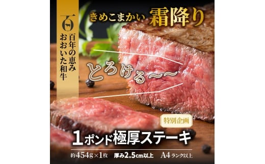 まさに肉のエアーズロック〃おおいた和牛１ポンド極厚ステーキ_29365A