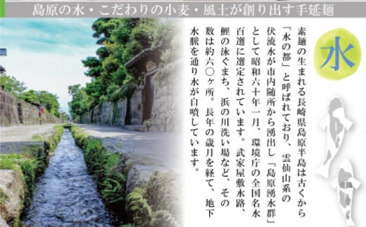  こだわりの麺匠が創る 島原 手延 素麺 40束   そうめん 南島原市   ふるさと企画 [SBA005]