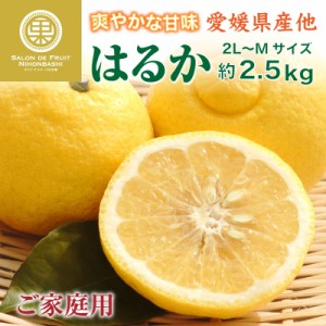 [予約 2月1日-3月14日の納品] はるか 約2.5kg 2L-Mサイズ 訳あり ご家庭用 愛媛県産ほか 簡易梱包 ハルカ さわやか 柑橘 みかん 果実 フ