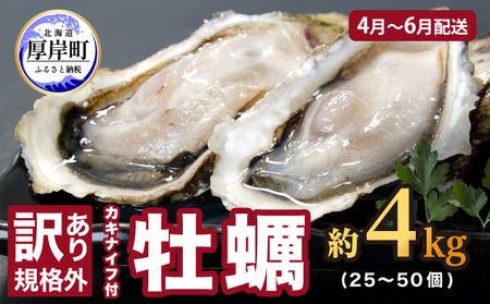 4月～6月配送 訳あり 牡蠣 北海道厚岸産 殻付カキ 約4kg (25～50個) カキナイフ付 生食