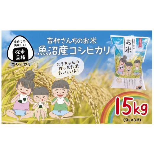 ふるさと納税 新潟県 十日町市 ｜従来品種｜ 魚沼産 コシヒカリ 5kg ×3袋 計15kg 米 こしひかり お米 コメ 新潟 魚沼 魚沼産 白米 送料無料 新潟県産 精米 産…