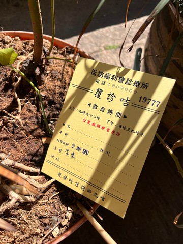 明信片 | #112 覆診咭