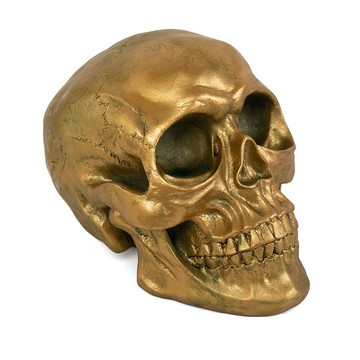 ??快速出貨?? 附發票 醫學頭骨模型樹脂骷髏萬圣節道具骷顱頭居家擺件仿古銅動物頭骨