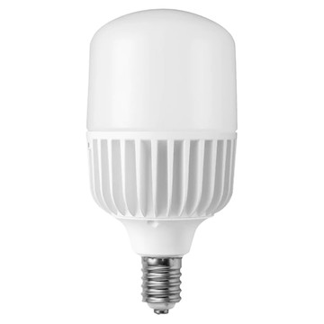 DANCELIGHT 舞光 LED全電壓燈泡 E40 LED-E4075DR1 139 x 269mm 75w 6500K  白光  1個