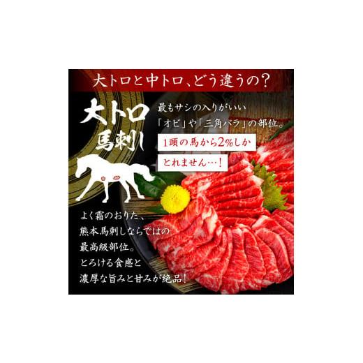 ふるさと納税 熊本県 玉名市 馬刺し 国産 サシが決め手の「トロ〜り馬刺しセット」 約500g