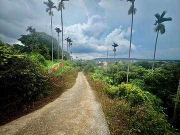 南投名間便宜美般農｜南投縣名間鄉竹圍段