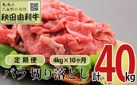 《定期便》10ヶ月連続 秋田由利牛 バラ切り落とし 4kg（1kg×4パック）