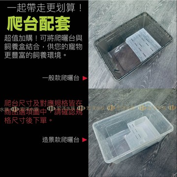宏洋✅超值加購【飼養盒 爬蟲盒 昆蟲盒 烏龜盒】曬台配套 (飼養箱 爬蟲箱 昆蟲箱 烏龜箱 守宮 角蛙 烏龜 昆蟲 蜘蛛