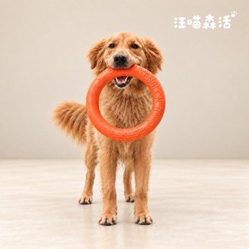 【汪喵森活】 EVA拉環飛盤 互動玩具訓練飛盤 耐咬浮水 狗飛盤玩具 訓狗 訓犬 逗狗訓練 寵物玩具 寵物飛盤 耐咬耐啃