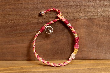 A&P海洋世界-紅紅粉粉之貓