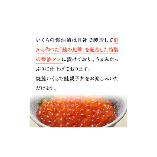 ふるさと納税 北海道 石狩市 9-071 佐藤水産の新巻鮭半身姿切身(2分割)といくら醤油漬