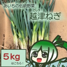 越津ねぎ　5kg