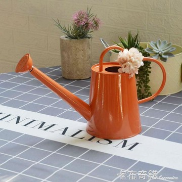 鐵皮噴壺澆花水壺長嘴蓬壺家用養花兒童灑水壺灑水頭大容量 99購物節