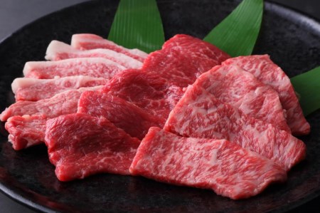 A5等級神戸牛（神戸ビーフ）おまかせ焼肉セット　500ｇ［神戸牛専門店 神戸ぐりる工房］