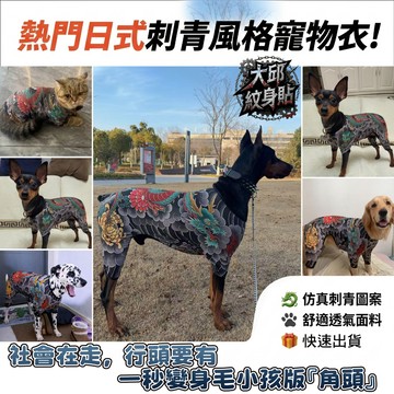 大邱紋身 寵物紋身衣 89兄弟風 貓狗通用 搞怪刺青衣 法鬥柯基四腳衣 日式新傳統 大小狗皆有尺寸 寵物衣服 SW03