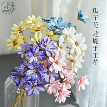 大好屋 現貨 瓜子花 瑪格麗特 梔子花 乾燥手工花 大束10裝 乾燥花 乾燥花束 花材 DIY花藝 插花 花束 裝飾