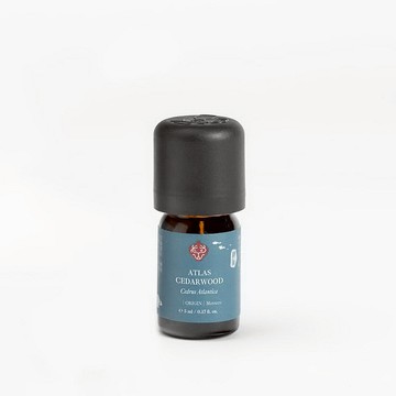 大西洋雪松精油 \ Atlas Cedarwood Essential Oil