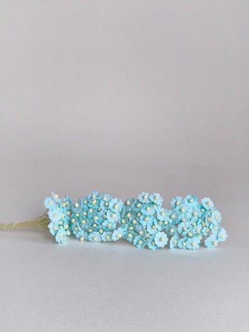 紙花，用品，100 件。加拿大海葵，尺寸 1.0 厘米，藍天色