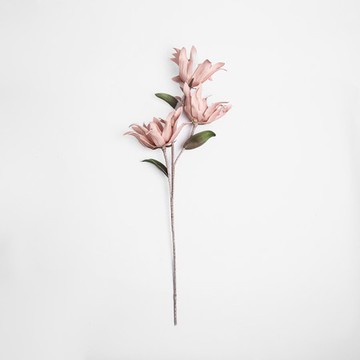 Flora芙蘿拉花插鐵線蓮 粉