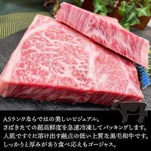 極上 リブロース ステーキ 250g 2枚 博多和牛A5ランク