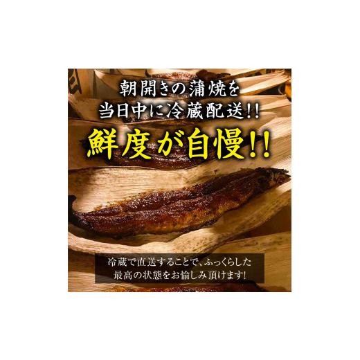 ふるさと納税 大阪府 寝屋川市 国産うなぎ蒲焼き (5匹)｜名店 鰻 ウナギ うな丼 鰻丼 冷蔵 クール便 ひつまぶし 丑の日 簡単調理 [0528]