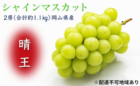 ぶどう 2024年 先行予約 シャイン マスカット 晴王 2房 （合計約1.1kg） 化粧箱入り マスカット ブドウ 葡萄  岡山県産 国産 フルーツ 果物 ギフト