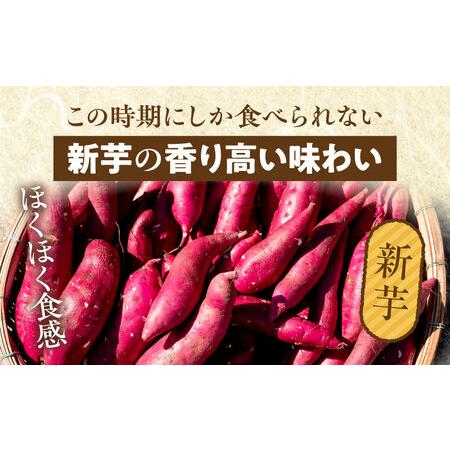 ふるさと納税 新芋＆熟成やきいもの食べ比べセット1kg 香り高い味わい ほくほくした食感 糖度50度以上 宮崎県宮崎市