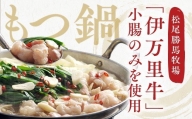 もつ鍋セット 2人前～3人前 伊万里牛ホルモン400g スープ 麺 薬味付き J718