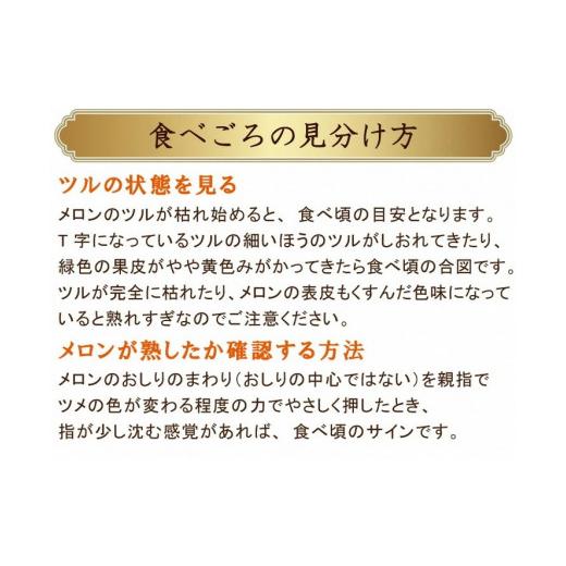 ふるさと納税 長崎県 雲仙市 アールスメロン 2玉（3.5キロ以上） ／ 長崎県農産品流通合同会社 ／ 長崎県 雲仙市 [item0085] ／ …