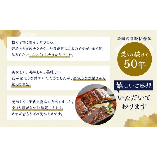 ふるさと納税 愛知県 田原市 厳選 高級 青うなぎ 3尾 蒲焼 450g