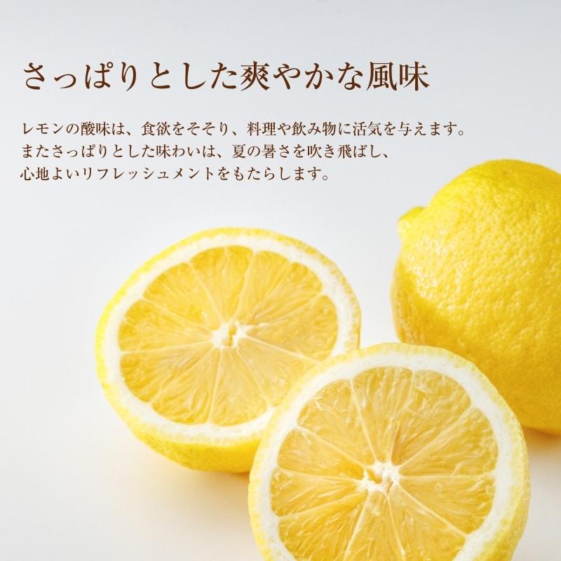 レモン 3kg 国産 愛媛産 送料無料 産地直送 柑橘 フルーツ 果物 防腐剤 防カビ剤 不使用 ノンワックス