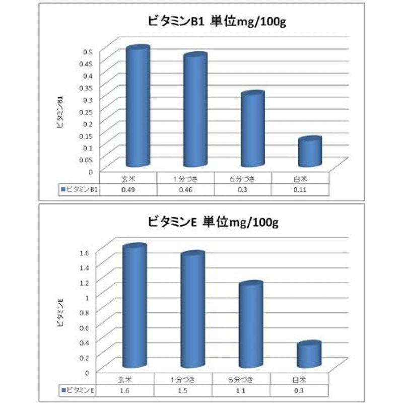 山形県産 はえぬき 30kg 紙袋 令和4年度産 (玄米 30kg×1袋)